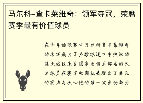 马尔科-查卡莱维奇：领军夺冠，荣膺赛季最有价值球员